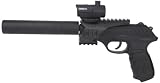 Gamo P-25 Blowback Tactical Pellet Pistol with Rail System
