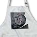 Kike Calvo Animals - Black faced vervet monkey Masai Mara National Park Kenya Africa - Aprons
