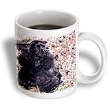 Dogs Cocker Spaniel - Black Cocker Spaniel - Mugs