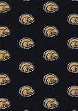 Southern Mississippi Golden Eagles 7 8 x 10 9 Team Repeat Area Rug