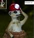 Outdoor Garden Solar Powered Light Meerkat The Miner Animal Ornament