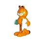 Garfield mit Kopfkissen