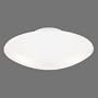 Westinghouse #66242 2 Light White Ceiling Fixture