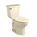 American Standard 215CB004.021 Toilet, White/Bone