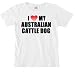 I Love My Australian Cattle Dog Women's Cut T-Shirt