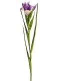 Club Pack of 12 Artificial Purple Dutch Iris Silk Flower Sprays 24.5