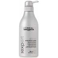 Loreal SE Silver Shampoo
