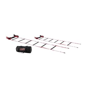 Gamma Mobility Ladder