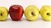 Books : Amazing Apples: The Ultimate Collection of the World's Finest Apple Recipes