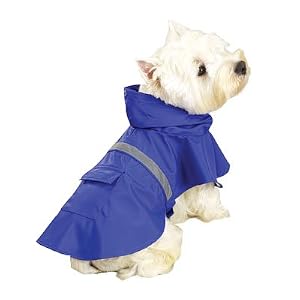 blue dog raincoat
