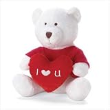 Love Teddy Bear