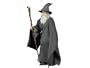 Lord of the Rings: Gandalf the Grey (Ian McKellen) 12-Inch Figure by Sideshow Collectibles!
