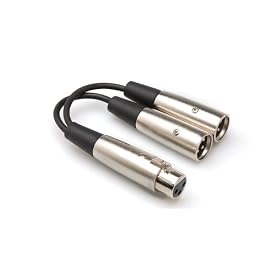 HOSA Y Cable XLR3 (F) - TWO XLR3 (M), 6 in.: Musical Instruments
