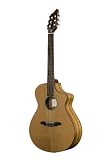 Breedlove Passport N250/CO Guitar