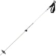 Black Diamond Boundary Ski Pole