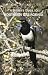 ABA Birdfinding Guide: A Birders Guide to Southern California