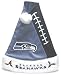 Seattle Seahawks Color Block Santa Hat