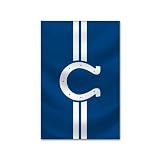 Indianapolis Colts NFL Football bumper sticker 3" x 5"
