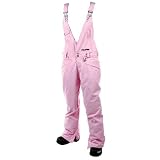 Volcom Glacier Overall Pant - Women's