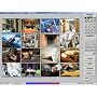 PICO2000 4 Camera Digital Video Surveillance Recorder and Internet Remote Monitoring Software for use with Sharx SCXMC104 PCI DVR card