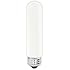 GE Lighting 45145 40-Watt Tubular, Frost Soft White, T10 1CD Light Bulb
