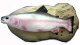 Travis the Singing Trout Sings "Do Wah Diddy Diddy" and "Rock the Boat"IMAGE