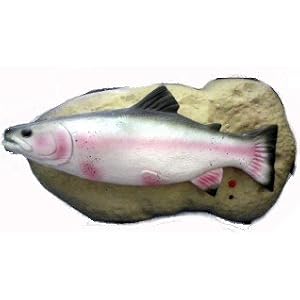 Travis the Singing Trout Sings Do Wah Diddy Diddy and Rock the Boat by 