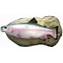 Travis the Singing Trout Motion Activated Synchromotion Technology Fish Sings 2 Songs