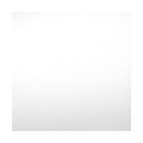 Savage 10' x 20' Matte Finish Pure White Infinity Series Vinyl Background