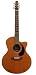 Seagull Performer Mini-Jumbo Gloss Cedar Top Cutaway Acoustic / Electric Guitar w/ QII Electronics