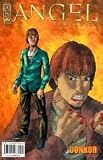 cover of Angel Spotlight: Connor (Angel Spotlight: Connor FIRST PRINTING Cover by Bob Gill)