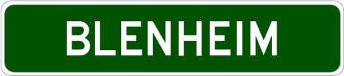 BLENHEIM, NEW YORK Aluminum City Street Sign - 6 x 24 Inches