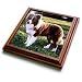 Dogs Border Collie - Border Collie Tan and White - Trivets