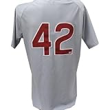 Tyler Colvin Jersey - Chicago Cubs 2011 JR Day Game Worn #42 Grey Jersey (FJ182482)