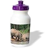 Wild animals - Black Rhino, Rhinoceros - Water Bottles