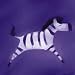 Anthony Morrow - Zebra Size 7x7 Anthony Morrow 7x7