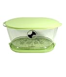 Review Kitchen Basics  / Lettuce Keeper By Kitchen Basics