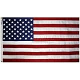 Annin Tough-Tex Woven Polyester Replacement Flag, High Winds 4 by 6 Foot