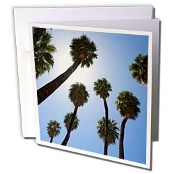 Danita Delimont - Palm Trees - Palm Springs, palm trees, California - US05 IST0005 - Inti St. Clair - Greeting Cards-12 Greeting Cards with envelopes On Sale