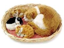 Perfect Petzzz Porch Cat & 3 Kittens