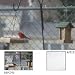 Hoya Diffuser - Filter - soft focus - 58 mm