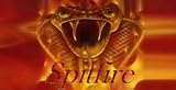 AIRBRUSHED LICENSE PLATES - COBRA License Plate - #1783