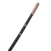 Fudoshin Bokken schwarz, mit Tsuba und Griffband
