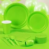 Fresh Lime (Lime Green) Standard Party Pack (24 count)
