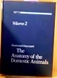 (The) anatomy of the domestic animals. vol.2