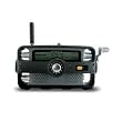 Et&oacute;n FR1000 Voicelink Self-Powered Hand-Crank AM/FM/NOAA Weather Two-Way GMRS Clock Radio with Flashlight, Siren, and Cell Phone Charger (Black)
