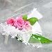 �v���U�[�u�h���[�Y�̔�����@�s���N�@�p�[�e�B�ɁI�y���j���E�L�O���E�a�����E�t�����[�M�t�g�E�o���z