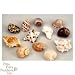 FMR HERMIT SHELL LARGE 12PC