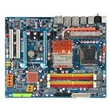 Gigabyte