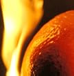 Burnt Oranges : A Film By Silvia Malagrino